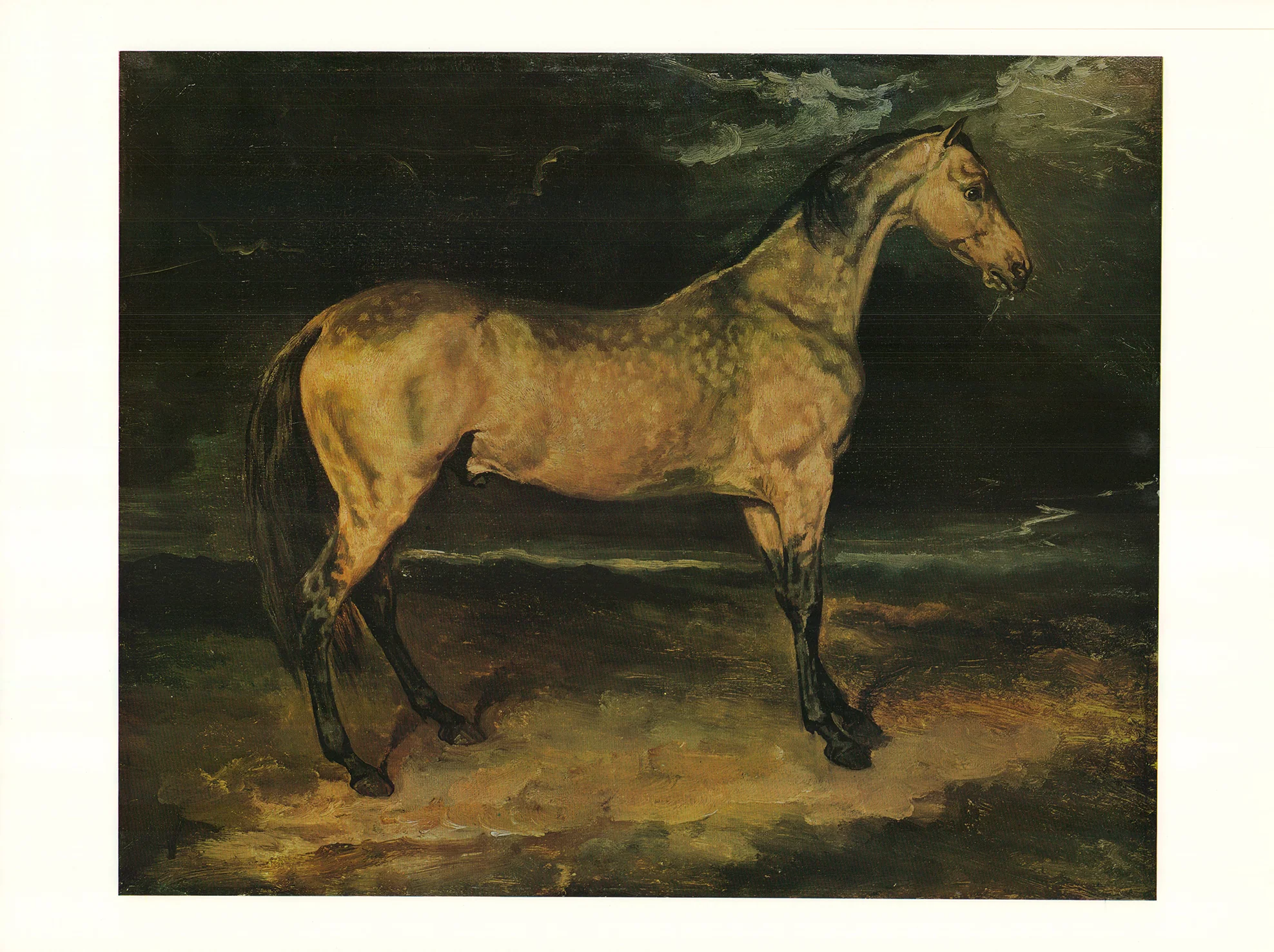 Shop for our Best Sellers