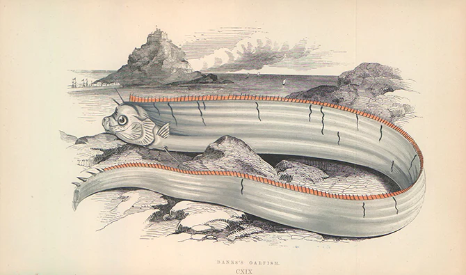 Best Selling Products